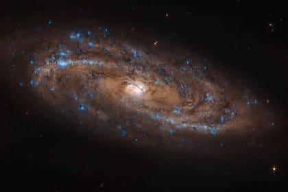 En esta imagen capturada hace unas semanas por el telescopio espacial Hubble se distinguen miles de puntos azules brillantes que son estrellas nuevas