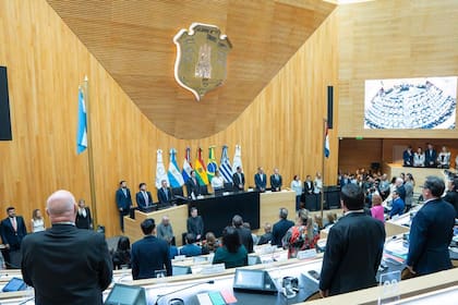 La última sesión del Parlasur, la semana pasada en Córdoba capital