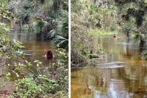 Desapareció hace tres semanas y fue vista nadando en un río con caimanes