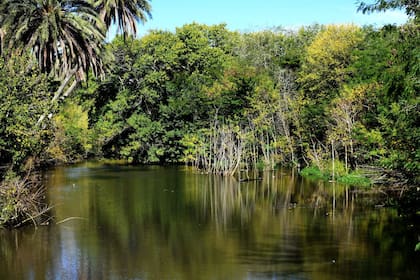 La Unesco decidió en 2007 designar como Reserva de Biosfera al Parque Pereyra Iraola, el pulmón verde más grande que tiene el Área Metropolitana de Buenos Aires
