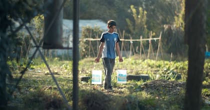 La Unicef estima que 160 millones de personas entre 5 y 17 años son sometidas al trabajo infantil. Crédito: Gentileza OIT