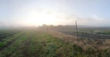 La Unidad Fiscal de Investigaciones N°16 de La Plata, a cargo de Juan Cruz Condomí Alcorta, en conjunto con el Juzgado de Garantías N°6, a cargo de Agustín Crespo, dispuso una exhaustiva serie de peritajes.