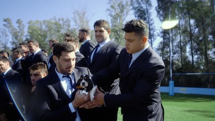 La unión de dos clásicos: Los Pumas y el icónico cachorro de Hush Puppies.