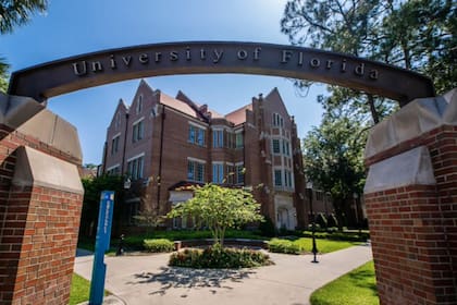 La Universidad de Florida se encuentra en la ciudad de Gainesville