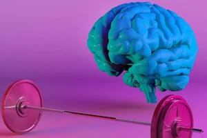 La Universidad de Harvard considera que el ejercicio físico y la lectura son esenciales para el desarrollo y funcionamiento de la memoria