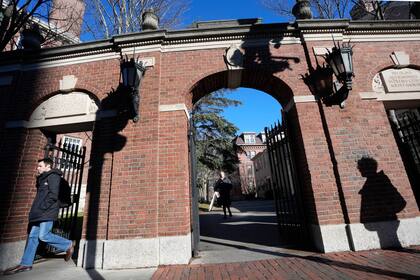 La Universidad de Harvard cuenta con una tasa de aceptación que ronda el 3%