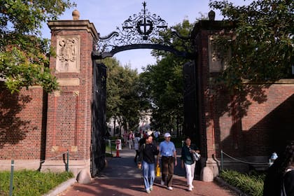 La Universidad de Harvard en Cambridge, Massachusetts, el 30 de septiembre del 2025. (AP foto/Charles Krupa)