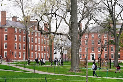 La universidad de Harvard quedó en el sexto puesto