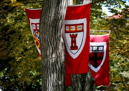 La Universidad de Harvard, una de las mejores, según la mayoría de los rankings internacionales
