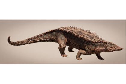 La Universidad de Texas hizo la investigación de esta nueva especie de dinosaurio