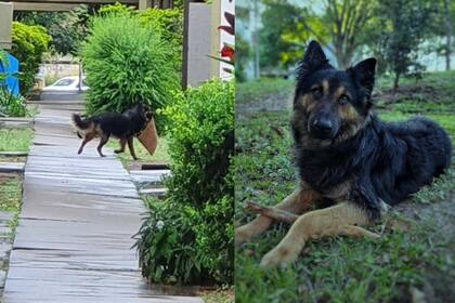 La usuaria compartió la imagen en el chat de vecinos.