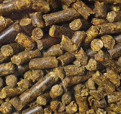 La utilización de los cítricos en cualquiera de sus presentaciones (fresco, bagazo o ensilado o pelleteado), siempre que se respeten las características y cuidados en cada uno, pueden incorporarse a la dieta de bovinos para leche o carne con buenos resultados productivos y económicos