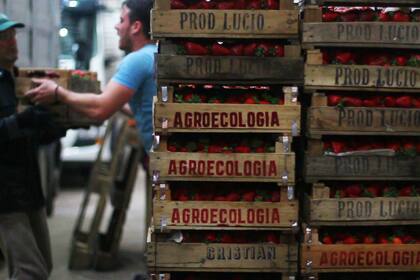 La UTT representa a 16.000 familias de pequeños productores