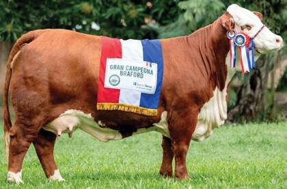 La vaca Agrolepal T358 Luján Fiv