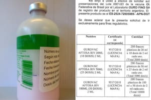 Se conocieron detalles reveladores sobre cómo el Senasa frenó una vacuna de Brasil