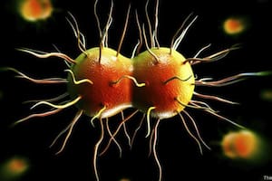 La vaginosis bacteriana no afecta solo a las mujeres