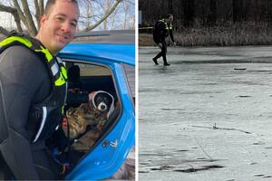 La valentía de un oficial permitió evitar una tragedia