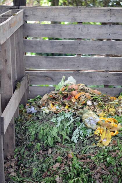 La variedad de materiales compostables disponible durante el verano facilita la creación de una mezcla equilibrada y rica en nutrientes