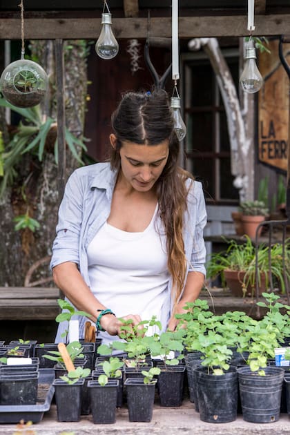 La variedad de semillas disponibles en el mercado nos da la oportunidad de lograr jardines llenos de colores y formas