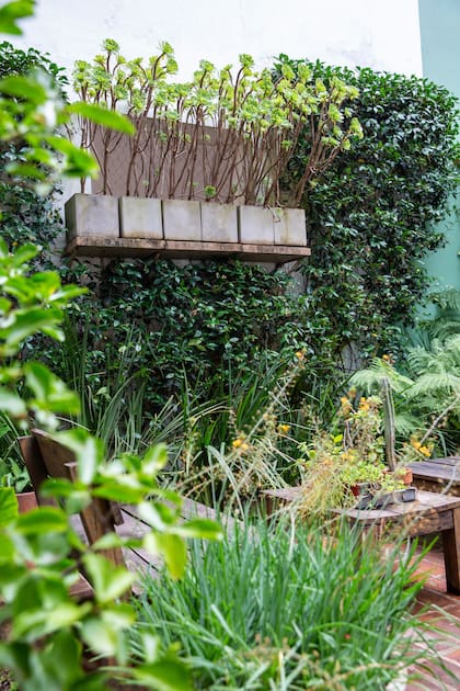 La vegetación actúa como un regulador natural reduciendo la temperatura superficial, amortiguando el viento y mejorando la calidad del aire