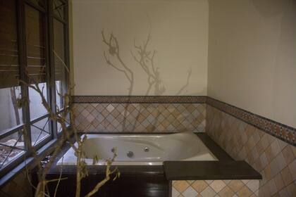 La vegetación invadió el hotel