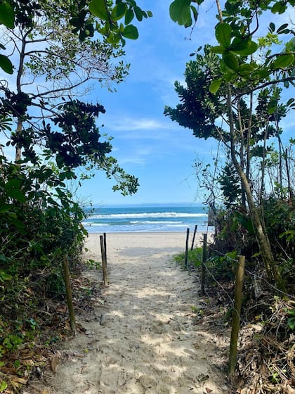 La vegetación llega hasta la orilla del mar