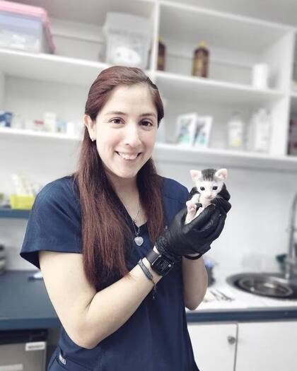 La veterinaria Paz Bringas es jefa de Investigación y Desarrollo de Gatuario y fundadora de Catmiunity Perú, grupo de estudios de medicina felina