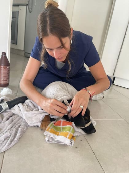 La veterinaria Victoria Morgan en un chequeo con el cachorro.