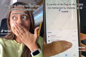 La viajera se dio cuenta de que su valija no se movía igual que el avión