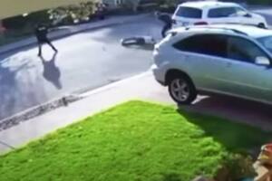 Video: le quisieron robar la camioneta y se defendió con una toma de lucha libre
