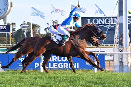 La victoria de El Encinal en el Pellegrini por el hocico: Echeverz reconoció que no le tenían mucha fe