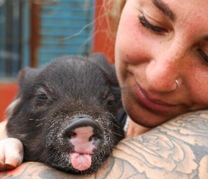 La vida de Julieta y su familia cambió por completo con la llegada de Pochi (Foto: @lapochivegana)
