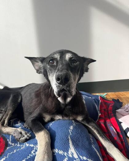 La vida de Skagway han cambiado drásticamente en menos de dos meses desde su rescate