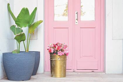 La vie en rose desde la puerta de entrada de @rochilanu