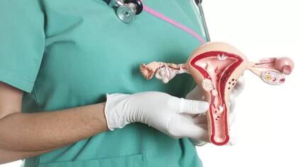 La vigilancia activa que se ha llevado en torno a su seguridad las sitúa entre las vacunas más y mejor estudiadas