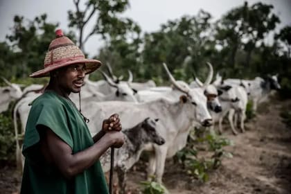 La violencia en la que se involucran los pastores fulani tiene más que ver con una competencia sobre territorio y recursos, según los expertos