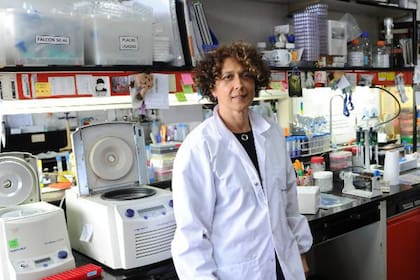 La viróloga molecular Andrea Gamarnik