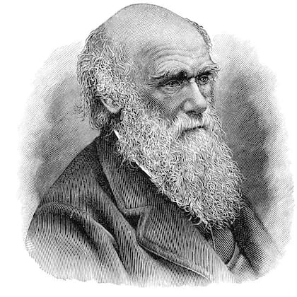 La visión del mundo de Darwin fue moldeada por la cultura de su época