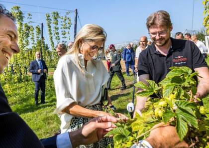 La visita comenzó en un campo de lúpulo, donde Máxima se interiorizó sobre la producción sustentable. 