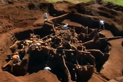 La vista aérea del hormiguero deja en evidencia el arduo trabajo que tuvo el equipo de científicos