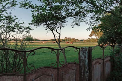 La vista al campo, fuente infinita de tranquilidad.