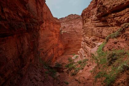 La vista de un Wine Expeience realizado por Cafayate, Salta