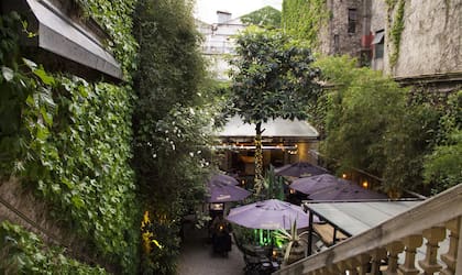 La vista del jardín de Milion con las paredes cubiertas de enredaderas y en el centro el níspero centenario.