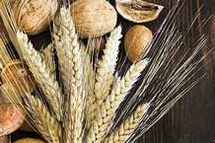 La vitamina B6 se encuentra en cereales como el trigo y la avena