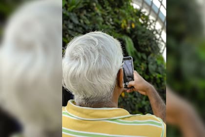 La vitamina C contiene una sustancia llamada catalasa, la cual descompone al peróxido de hidrógeno, lo que puede jugar un papel importante en la prevención de las canas y la calvicie (Foto Unsplash)