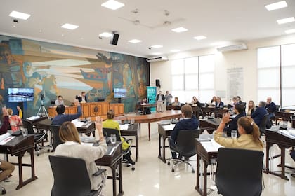 La votación de la semana pasada, en el Concejo Deliberante de Tigre, cuando se aprobó la ordenanza