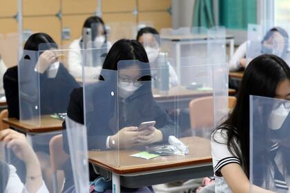 Protectores plásticos para cada alumno en su banco