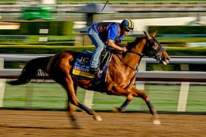 Ignacio Correas y Blue Prize: la alianza argentina brilla en la Breeders' Cup