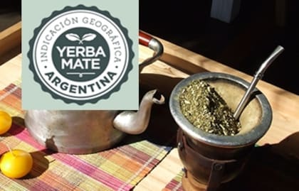La yerba mate cultivada en Misiones y Corrientes tiene diferencias con la cultivada en Brasil y Paraguay.