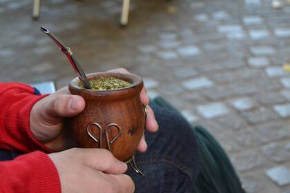 La yerba mate se usó y consumió por primera vez en el siglo XVI en plena conquista española.